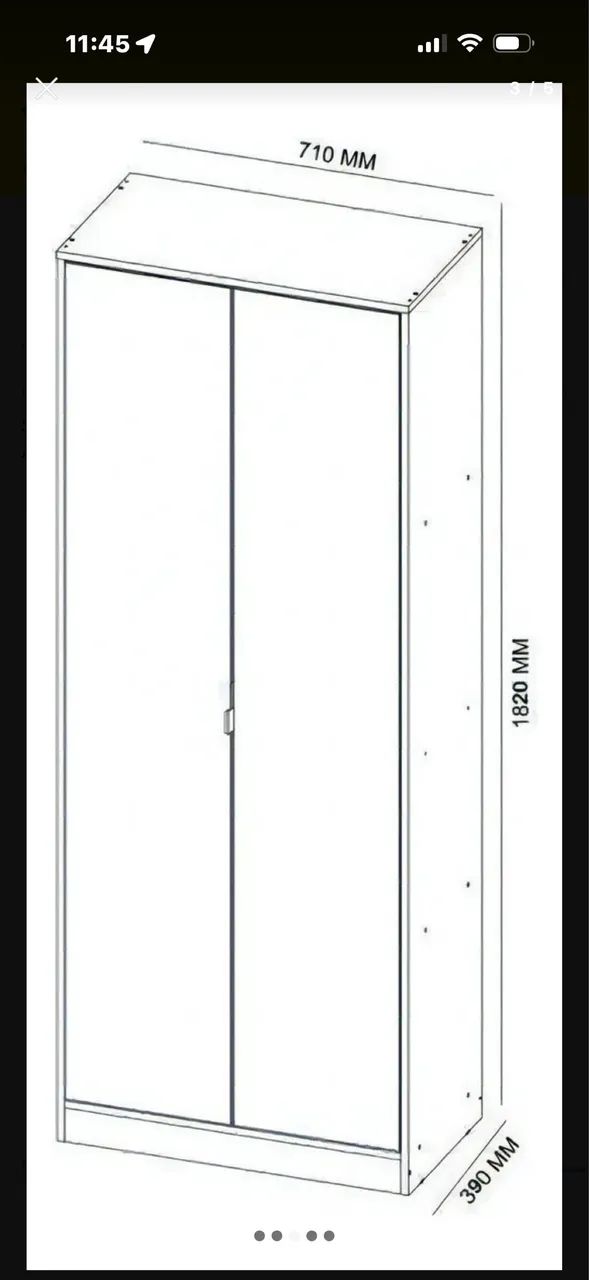 Sapateira espelhada  - Foto 2