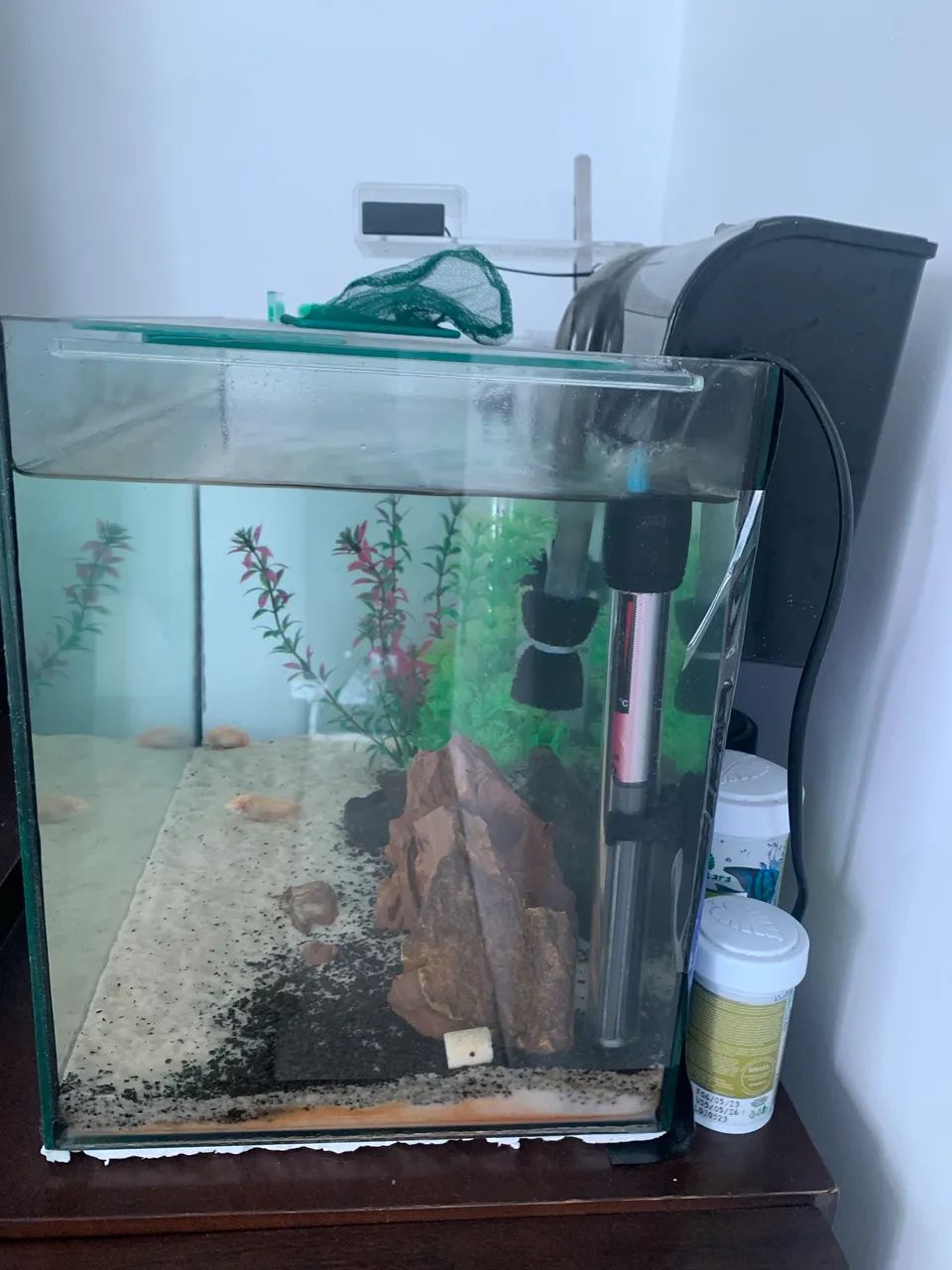 Aquário 30L  - Foto 2
