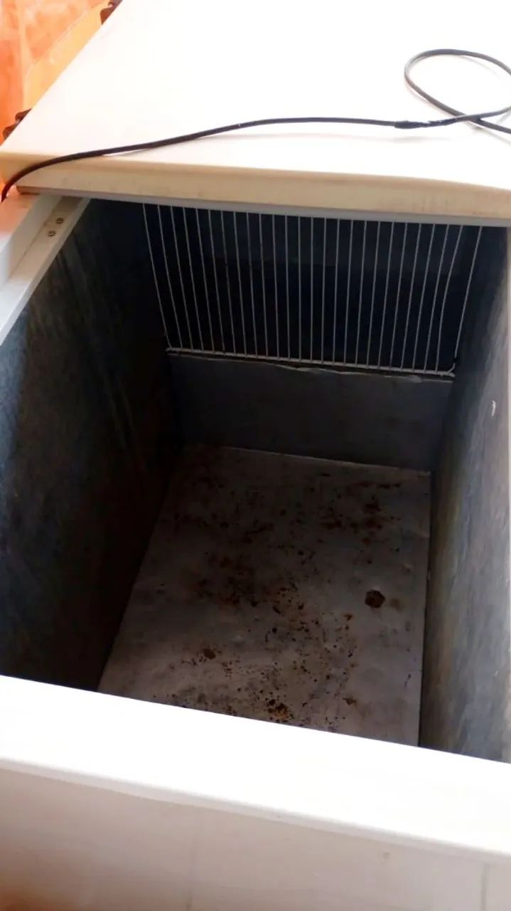 Freezer Electrolux  - Foto 5