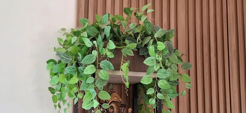 Conjunto com 2 Cachepôs de Madeira e Plantas Permanentes Jiboia - Foto 2