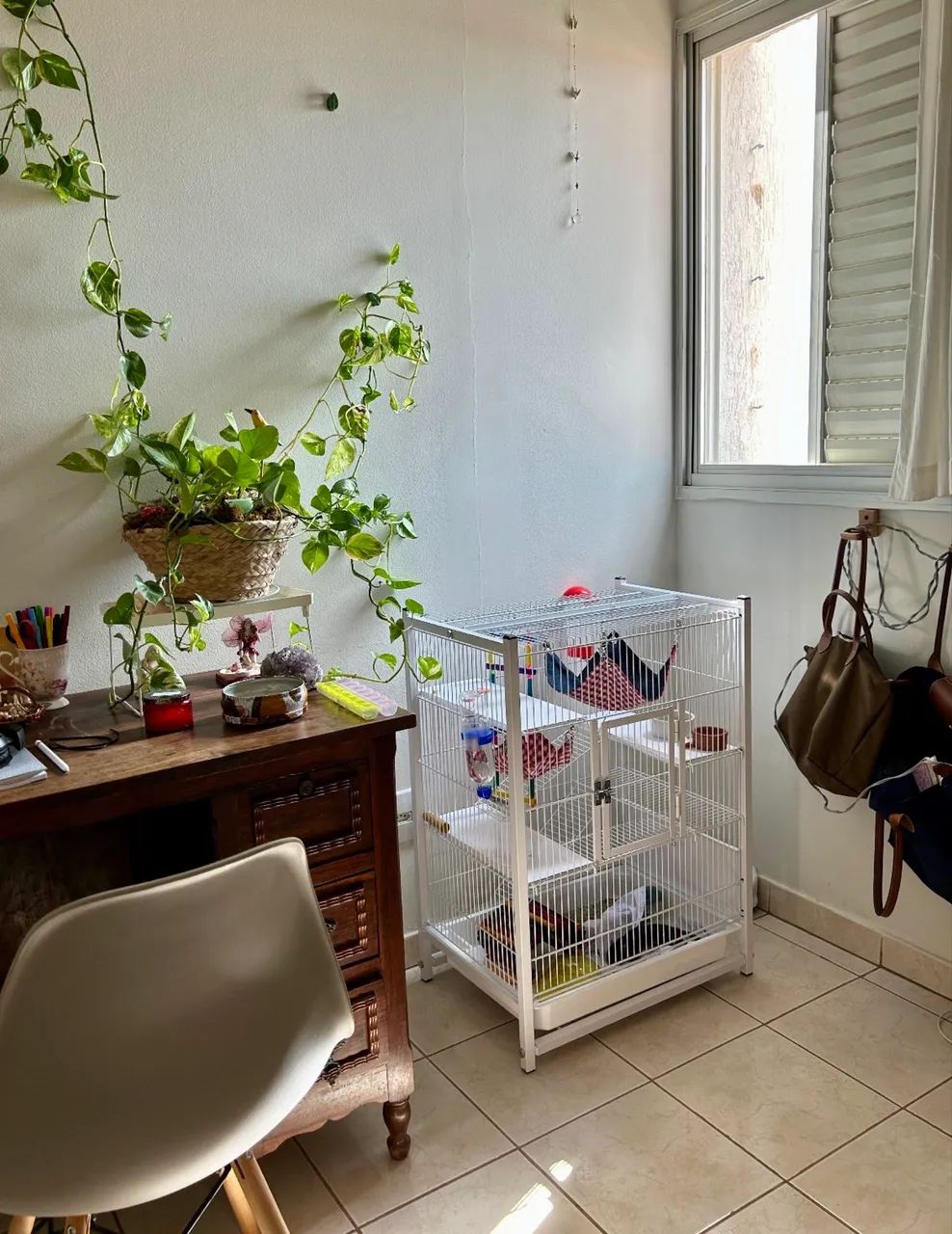 Gaiola Gaiopar Twister - Foto 2