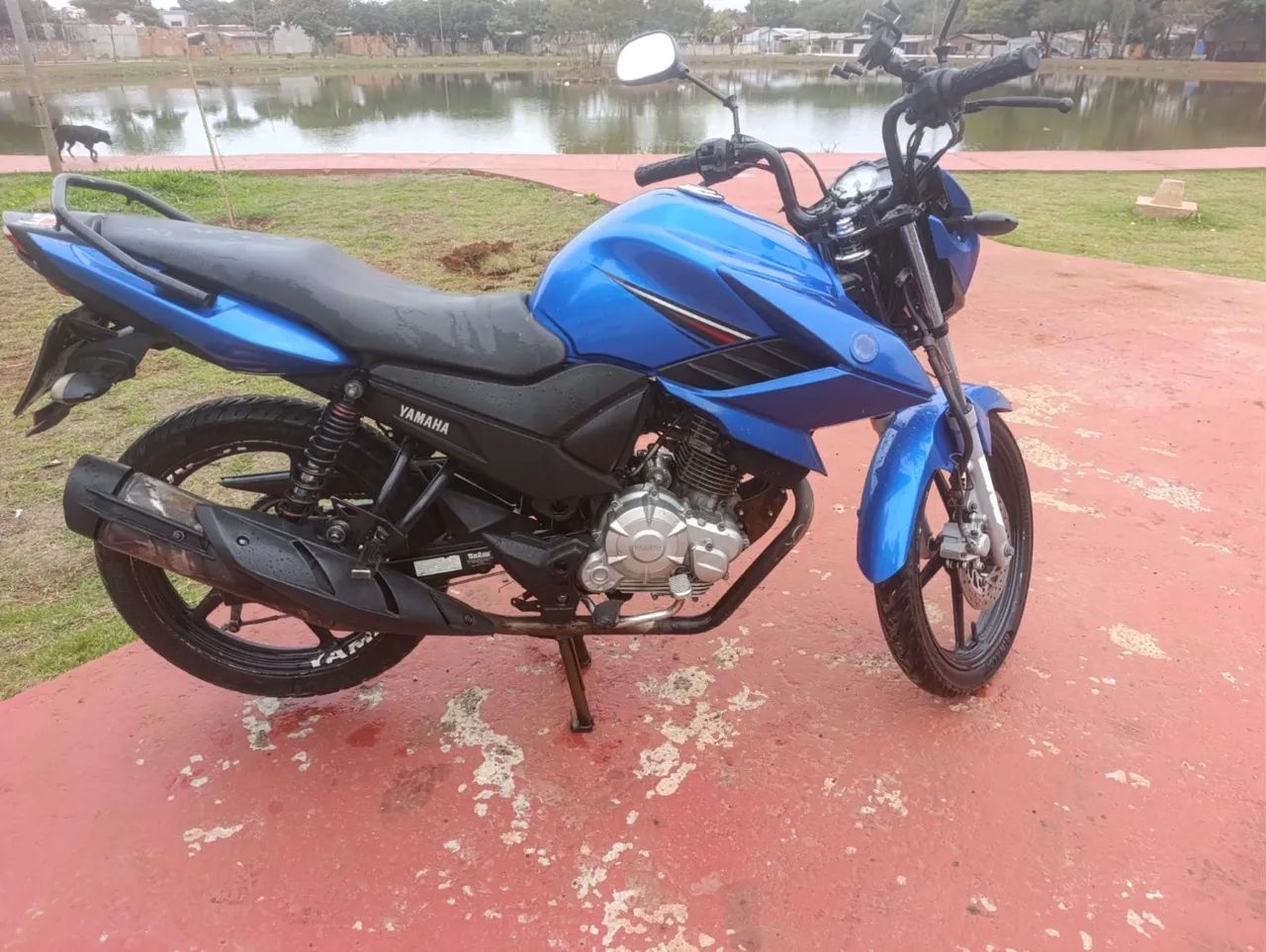Moto  - Foto 5
