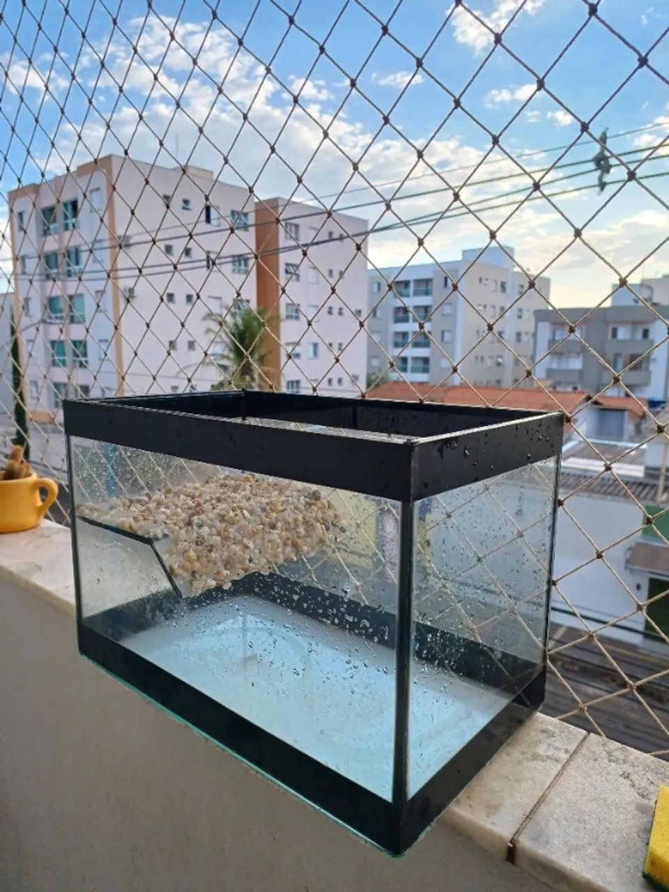Aquário  - Foto 3