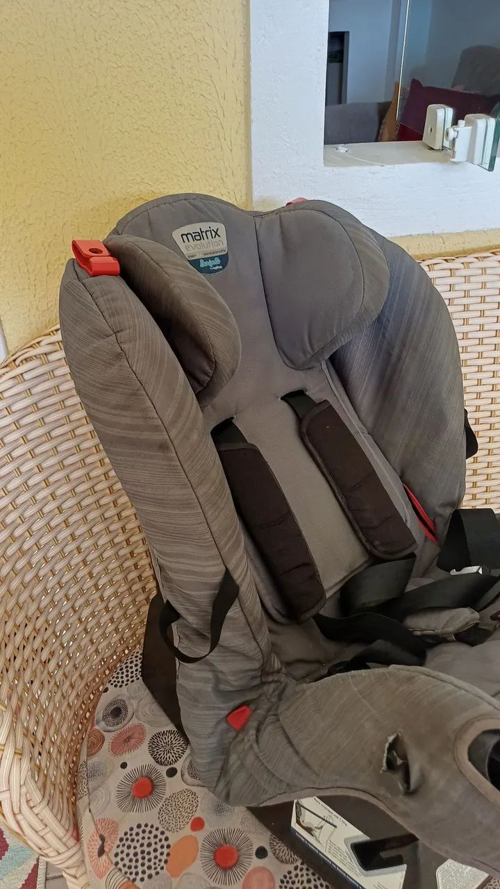 Cadeira Burigoto Matriz evolucion