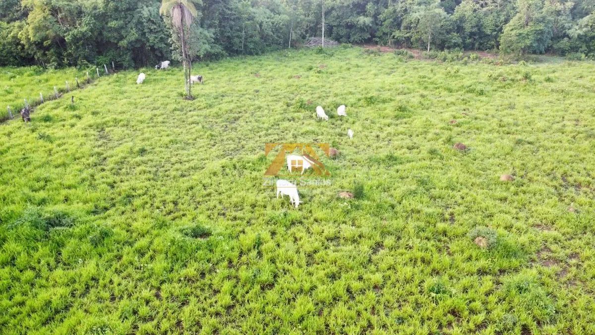 Fazenda com 1 Quarto à Venda - Aparecida do Rio Negro - Foto 3