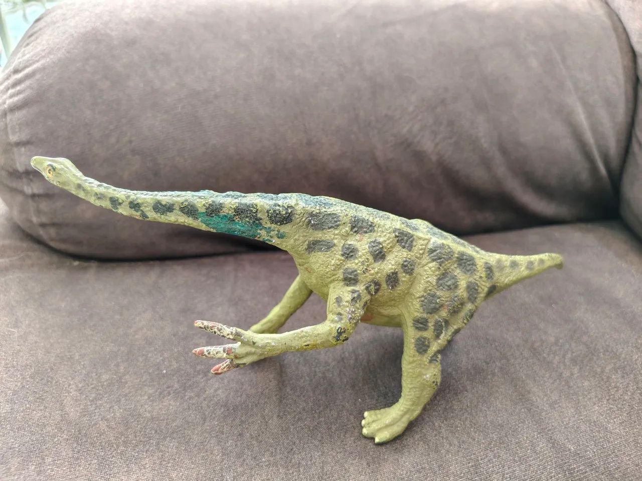 5 dinossauros  - Foto 3