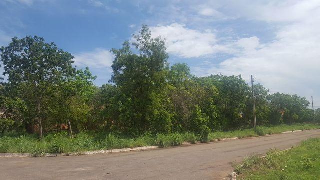 Lote de 542 m² na 509 Sul - Bem Localizado - Foto 5