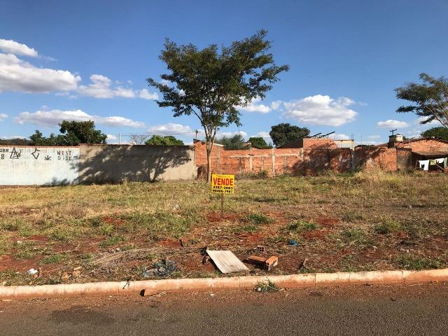 Lote Trindade Residencial Garavelo, frente para GO 060, rodovia dos romeiros, res vieira