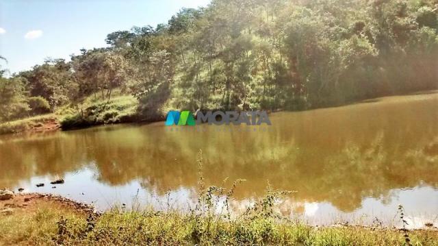 FAZENDA À VENDA - 187 HECTARES - ONÇA DO PITANGUI (MG) - Foto 2
