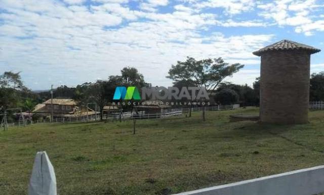 Fazenda pecuária - 220 hectares - belo vale (mg) - Foto 9