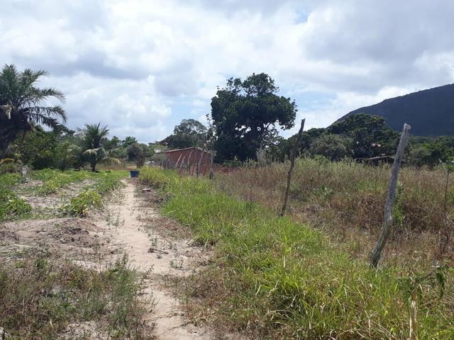Terreno na Serra de Itabaiana - Foto 4