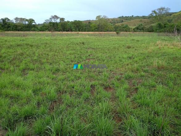 FAZENDA À VENDA - 55 HECTARES - REGIÃO DE PITANGUI (MG) - Foto 17