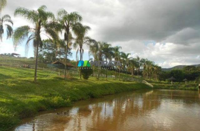 Fazenda / haras à venda - 16 hectares - brumadinho (mg) - Foto 8