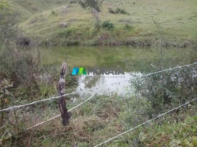 Fazenda - 59 hectares - bonfim (mg) - Foto 11