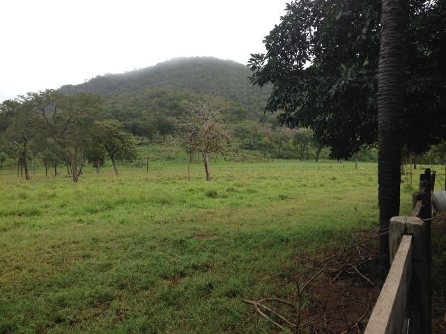 Fazenda - 1100 Hectares - Cáceres/MT - Foto 19