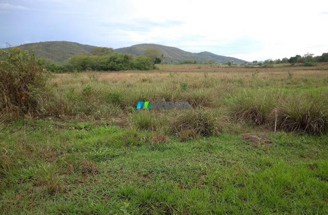 FAZENDA À VENDA - 55 HECTARES - REGIÃO DE PITANGUI (MG)