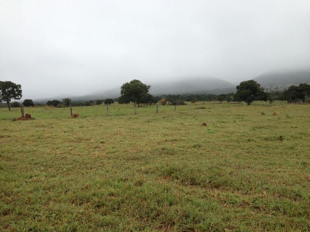 Fazenda - 1100 Hectares - Cáceres/MT - Foto 18