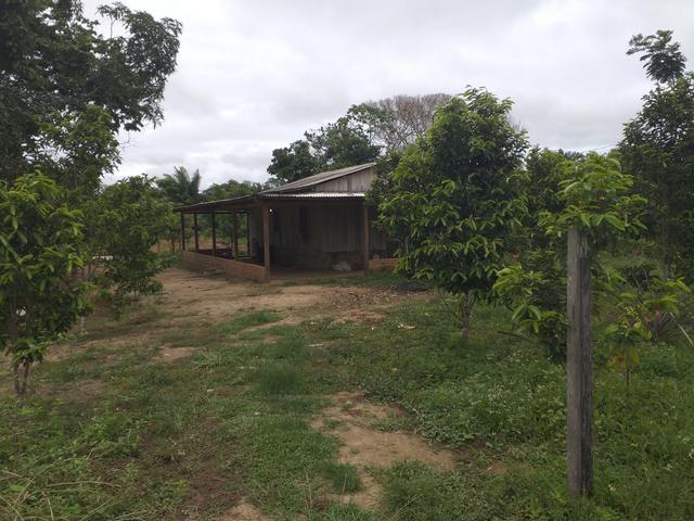 Vende-se uma chácara - Foto 3