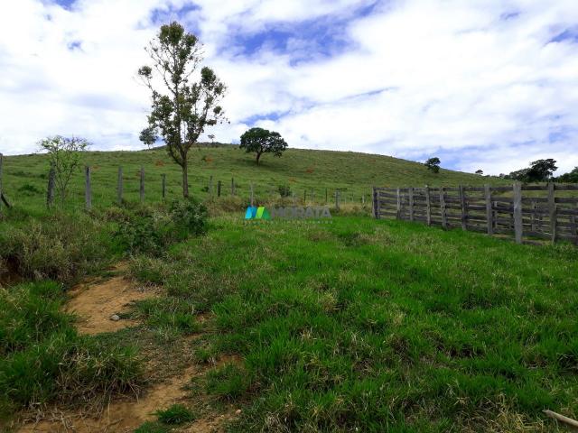 Fazenda à venda - 90 hectares - lavras (mg) - Foto 8