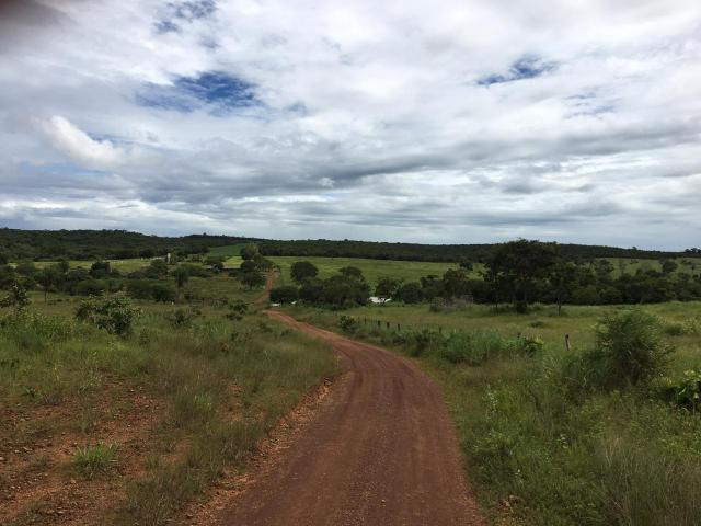 Fazenda - Foto 2
