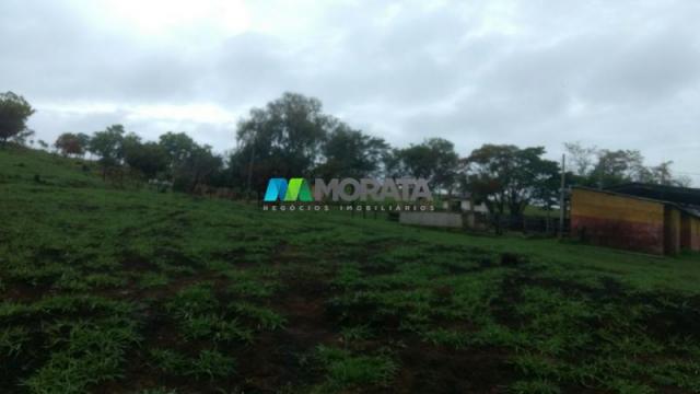 Fazenda à venda - 163 hectares - paraopeba (mg) - Foto 8