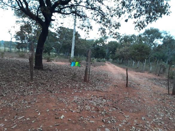Fazendinha - 08 hectares - paraopeba (mg) - Foto 10