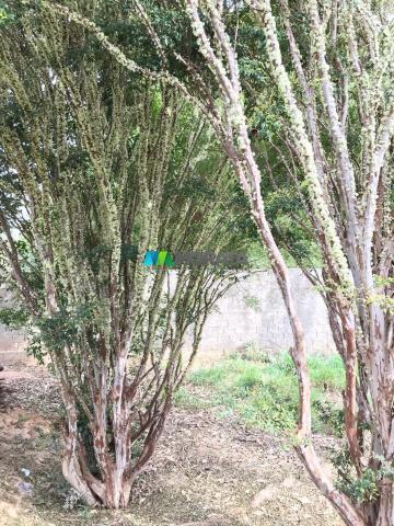 FAZENDINHA À VENDA - 2,5 HECTARES - PEQUI (MG) - Foto 18