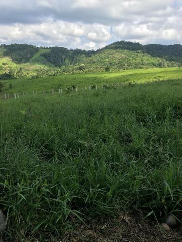 Vendo fazenda (Itamaraju BA) - Foto 2