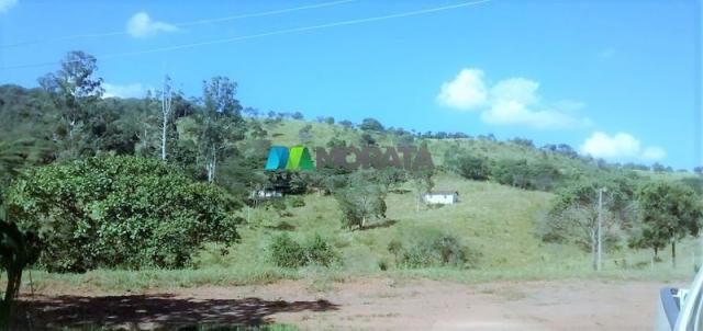 FAZENDA À VENDA - 187 HECTARES - ONÇA DO PITANGUI (MG) - Foto 7