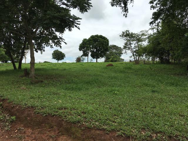 Chácara em Bela Vista de Goiás com casa - Foto 11