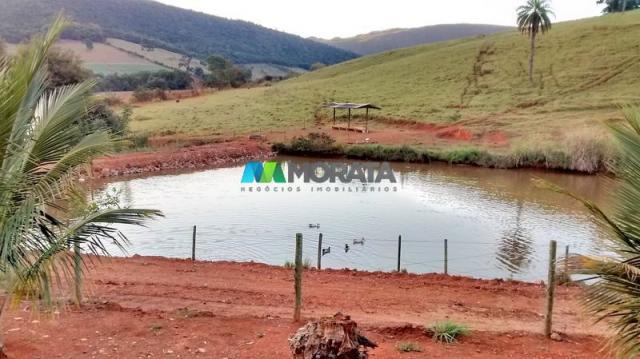 Fazenda à venda - 75 hectares - onça do pitangui (mg) - Foto 5