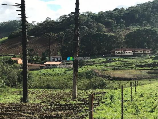Fazenda à venda - 40 hectares - região santana dos montes (mg) - Foto 9