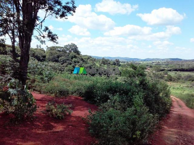 FAZENDA - 122,80 hectares - PEQUI (MG) - Foto 17