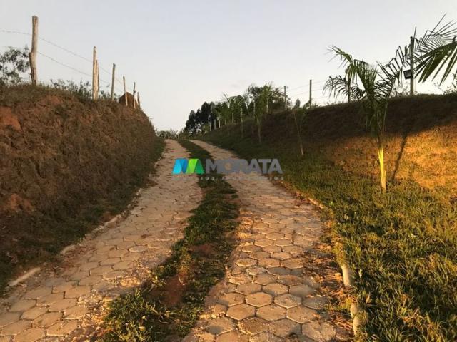 Fazenda haras - 10,8 hectares - itaverava (mg) - Foto 8