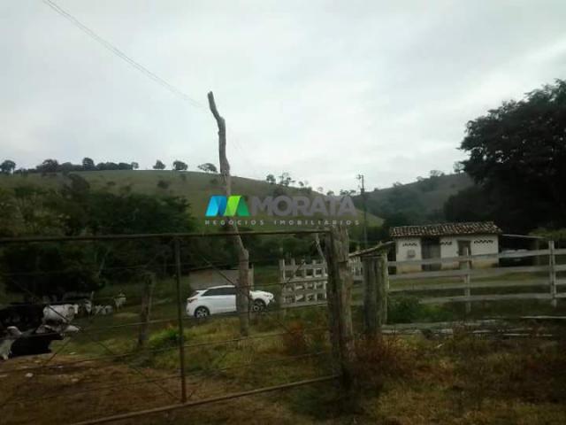 Fazenda - 59 hectares - bonfim (mg) - Foto 8