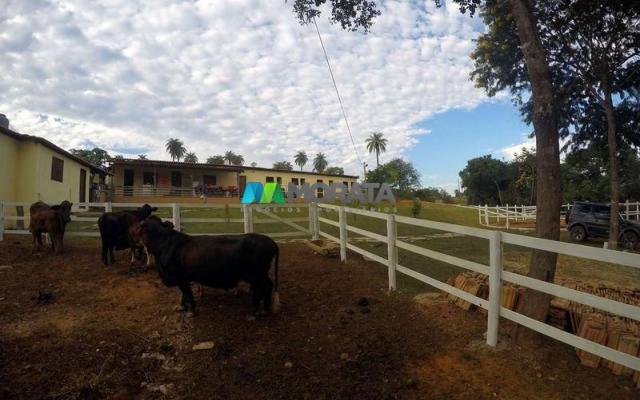 Fazenda haras - 63.000 m2 - região lagoa santa (mg) - Foto 10