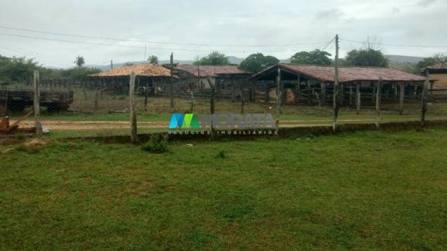 Fazenda à venda - 100 hectares - sete lagoas (mg) - Foto 5