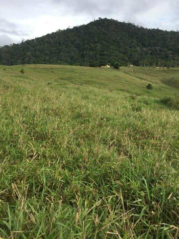 Vendo fazenda (Itamaraju BA) - Foto 11