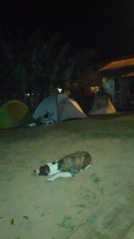 Camping do Paulista - Foto 2
