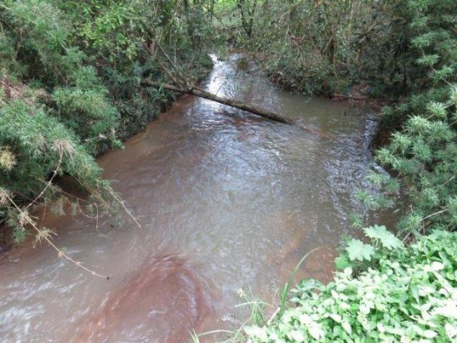 Chácara para Venda, 71.959,20 m², Piên / PR, bairro Poço Frio, 3 dormitórios - Foto 9