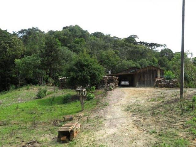 Chácara para Venda, 71.959,20 m², Piên / PR, bairro Poço Frio, 3 dormitórios - Foto 4