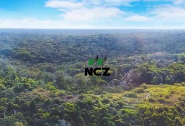 Fazenda à venda, 2100000 m² por r$ 21.000.000,00 - santo andré - santa cruz cabrália/ba - Foto 9