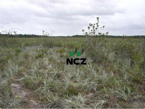 Fazenda à venda, 4080000 m² por r$ 5.000.000 - barra grande - maraú/ba - Foto 19