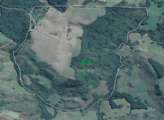 Fazenda à venda, 1113200 m² por r$ 3.800.000 - linha mangabeira - santa maria do oeste/pr - Foto 9