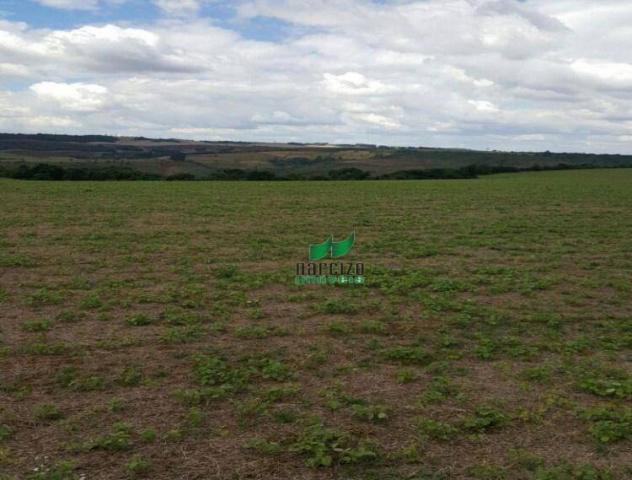 Fazenda à venda, 1113200 m² por r$ 3.800.000 - linha mangabeira - santa maria do oeste/pr - Foto 2