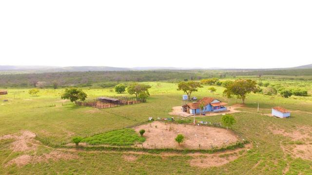 Fazenda Jaguaquara - Foto 7