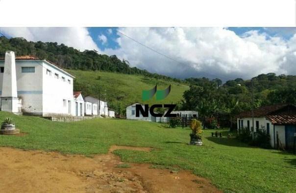 Fazenda à venda, 2780000 m² por r$ 3.000.000 - nova palma - gongogi/ba - Foto 6