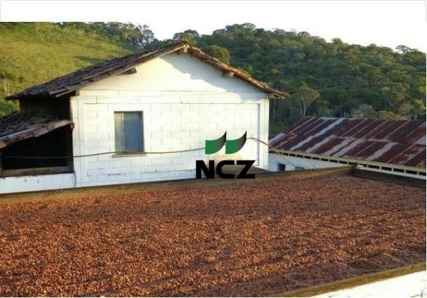 Fazenda à venda, 2780000 m² por r$ 3.000.000 - nova palma - gongogi/ba - Foto 3