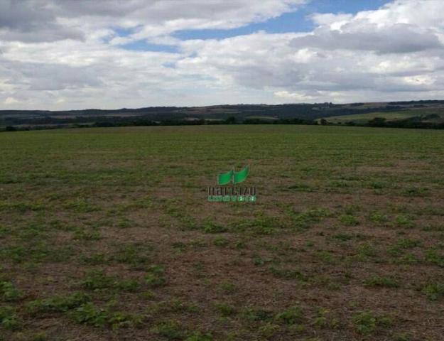 Fazenda à venda, 1113200 m² por r$ 3.800.000 - linha mangabeira - santa maria do oeste/pr - Foto 4