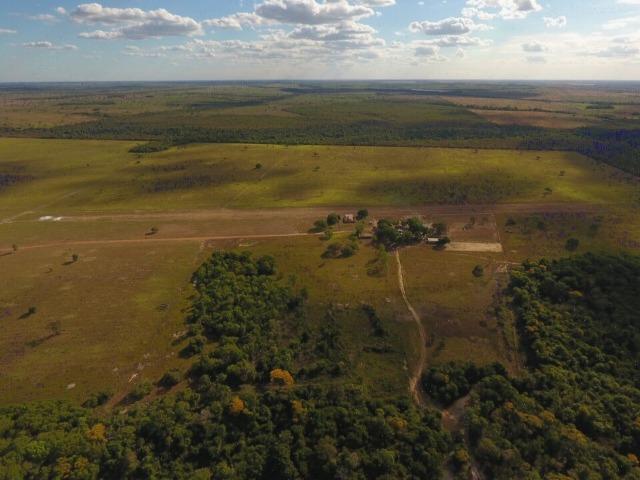 935 há (193 alq) Pecuária e Grãos com ótima sede e benfeitorias e pista de pouso de 1.300m - Foto 2